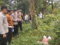 Siswi SMK OKU Timur Ditemukan Tewas di Kebun Karet Jumat, 21, Juni, 2024.