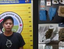 Satuan narkoba Polres OKU Berhasil Tangkap Pengedar Ganja di Baturaja Dengan BB Puluhan Gram Ganja