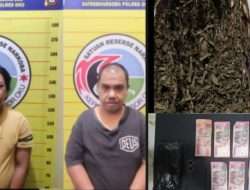 Polres OKU Ungkap Kasus Tindak Pidana Narkotika Jenis Ganja