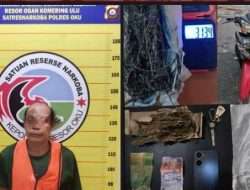 Polres OKU Berhasil Mengamankan Pelaku Tindak Pidana Narkotika Jenis Ganja