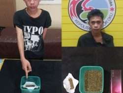 Polres OKU Ungkap Kasus Tindak Pidana Narkotika Jenis Ganja