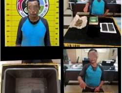 Satuan Narkoba Polres OKU Amankan Pengedar Narkotika Jenis Ganja