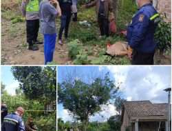 Penemuan Mayat Laki-Laki di Bawah Pohon Nangka di Baturaja