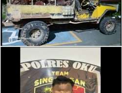 Polisi Tangkap Pelaku Pencurian Buah Sawit di OKU