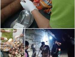 Cemburu Buta, Mantan Suami Bacok Pria Hingga Tewas di Baturaja Barat