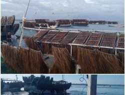 Oknum Polisi Diduga Bekingi Bisnis Telur Ikan Ilegal di Tanimbar, Langgar Kode Etik Profesi.