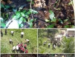 Penggembala Kerbau Temukan Tengkorak Manusia di Desa Rantau Panjang, Pemeriksaan Lanjutan Akan Dilakukan