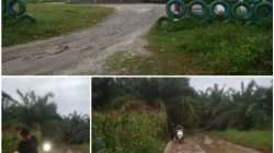 Prof. Sutan Nasomal, meminta Presiden Prabowo menginstruksikan kepala daerah agar menekan perusahan untuk serius merawat infrastruktur jalan