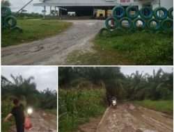 Prof. Sutan Nasomal, meminta Presiden Prabowo menginstruksikan kepala daerah agar menekan perusahan untuk serius merawat infrastruktur jalan