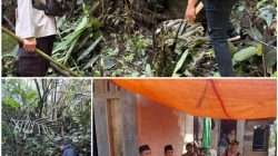 Kabid Humas Polda Sumsel Berikan Penjelasan Resmi Terkait Penemuan Mayat di OKU Selatan