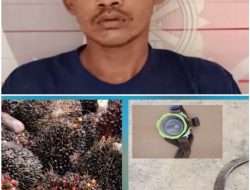 Amankan Pencurian Sawit, Polsek Peninjauan Tangkap Satu Pelaku, Satu Masih Buron