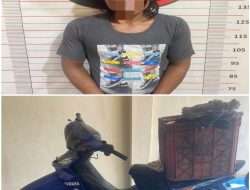 Taksanggup Menahan Buntu,Seorang warga nekat Memungut getah karet Di tengah malam,Ahirnya di tangkap polisi 