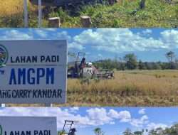 Menuai Berkat di Tanah Harapan: Gotong Royong AMGPM Carry Kandar Wujudkan Pertanian Modern dan Mandiri