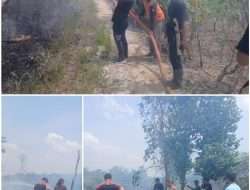 *Gerak Cepat BPBD dan Damkar OKU Padamkan Kebakaran Lahan di Tanjung Kemala*