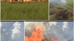 Hadapi Karhutla Lahan Semi Gambut, Polres Ogan Ilir Bersinergi dengan BPBD, TNI dan Manggala Agni