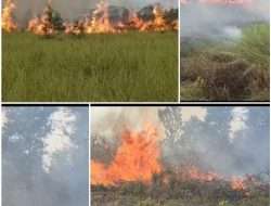 Hadapi Karhutla Lahan Semi Gambut, Polres Ogan Ilir Bersinergi dengan BPBD, TNI dan Manggala Agni