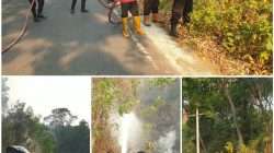 🔥 Kebakaran Lahan PT Semen Baturaja Berhasil Dipadamkan,Titik pasti Sumber api masih belum diketahui